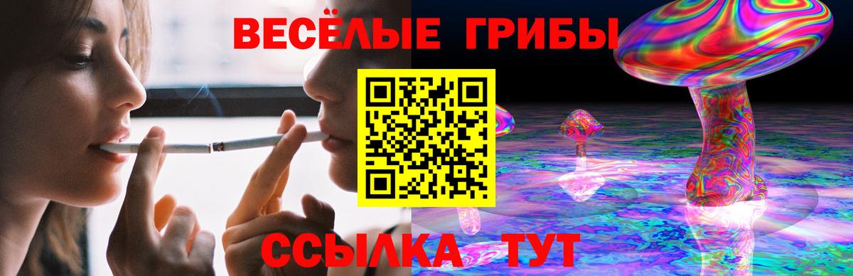Галлюциногенные грибы MAGIC MUSHROOMS Михайловск